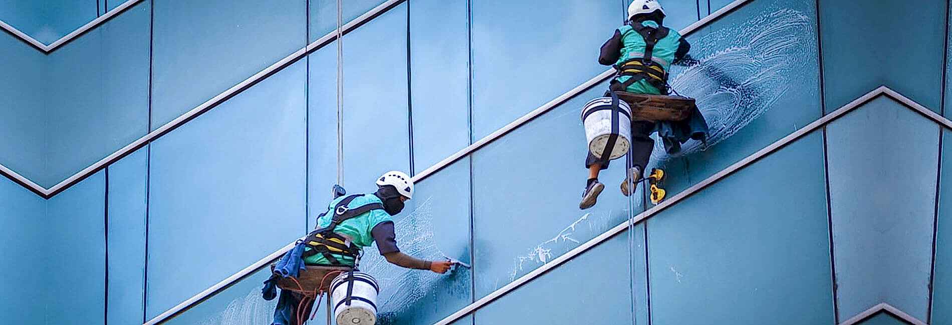 Kalite, Profesyonel İş